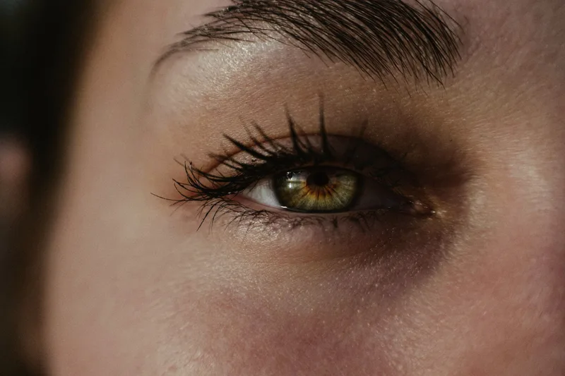 Œil aux cils longs et recourbés dans une lumière dorée
