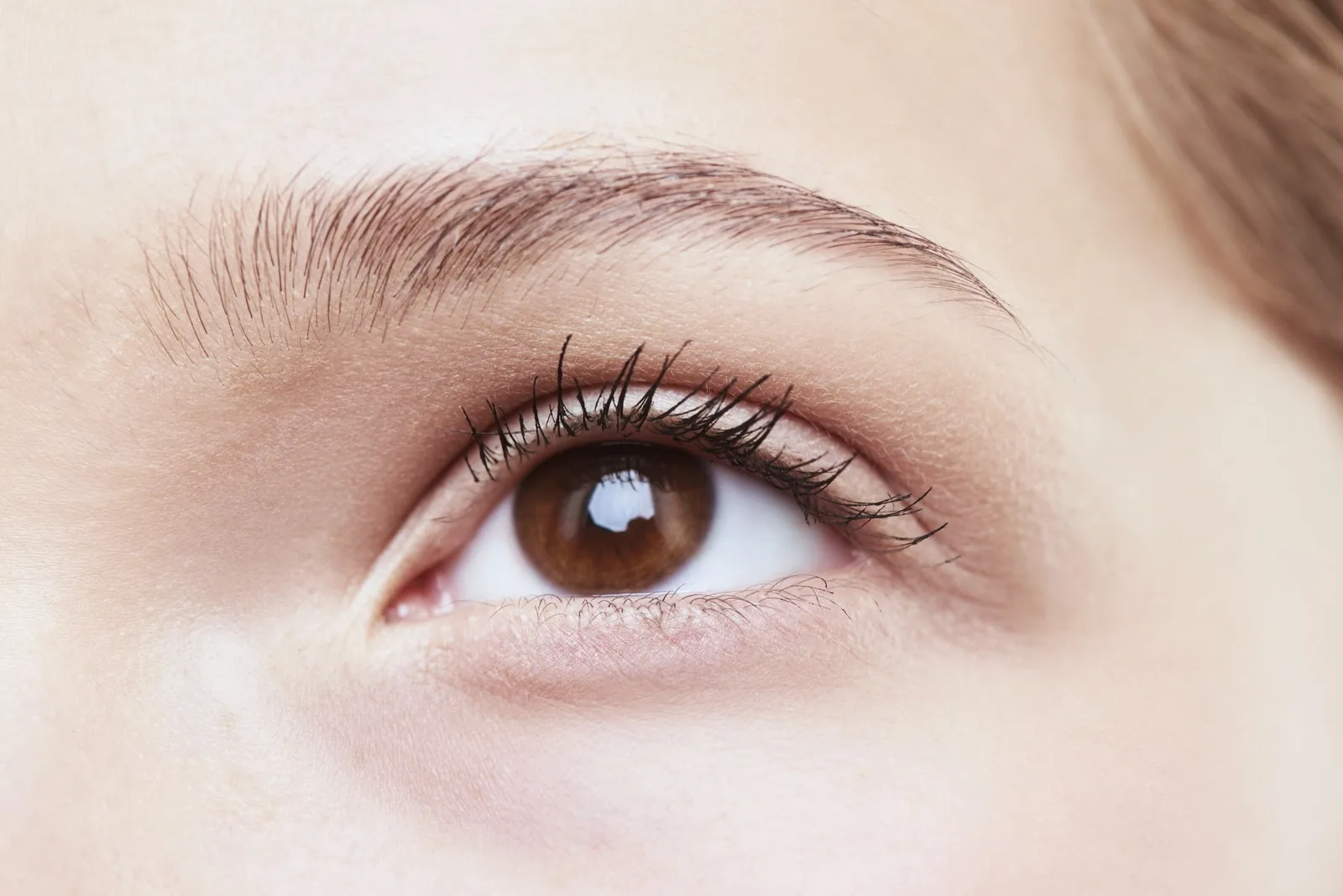 Sourcil brossé et structuré, regard naturel en gros plan